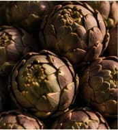 Fresh artichokes